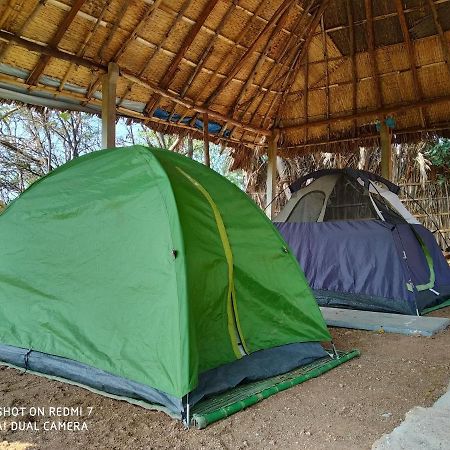 Drunken Monkey Camping Site 호텔 함피 외부 사진