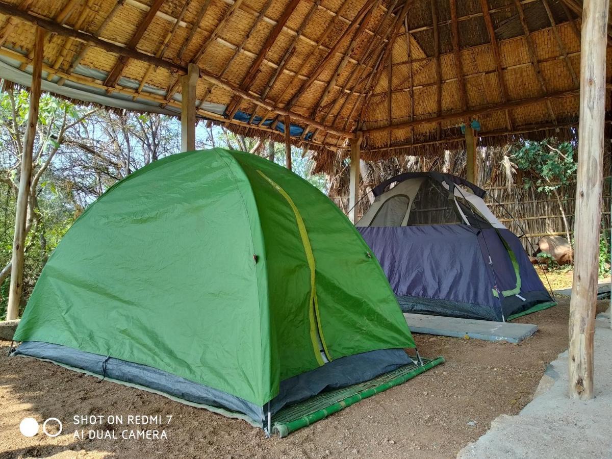 Drunken Monkey Camping Site 호텔 함피 외부 사진