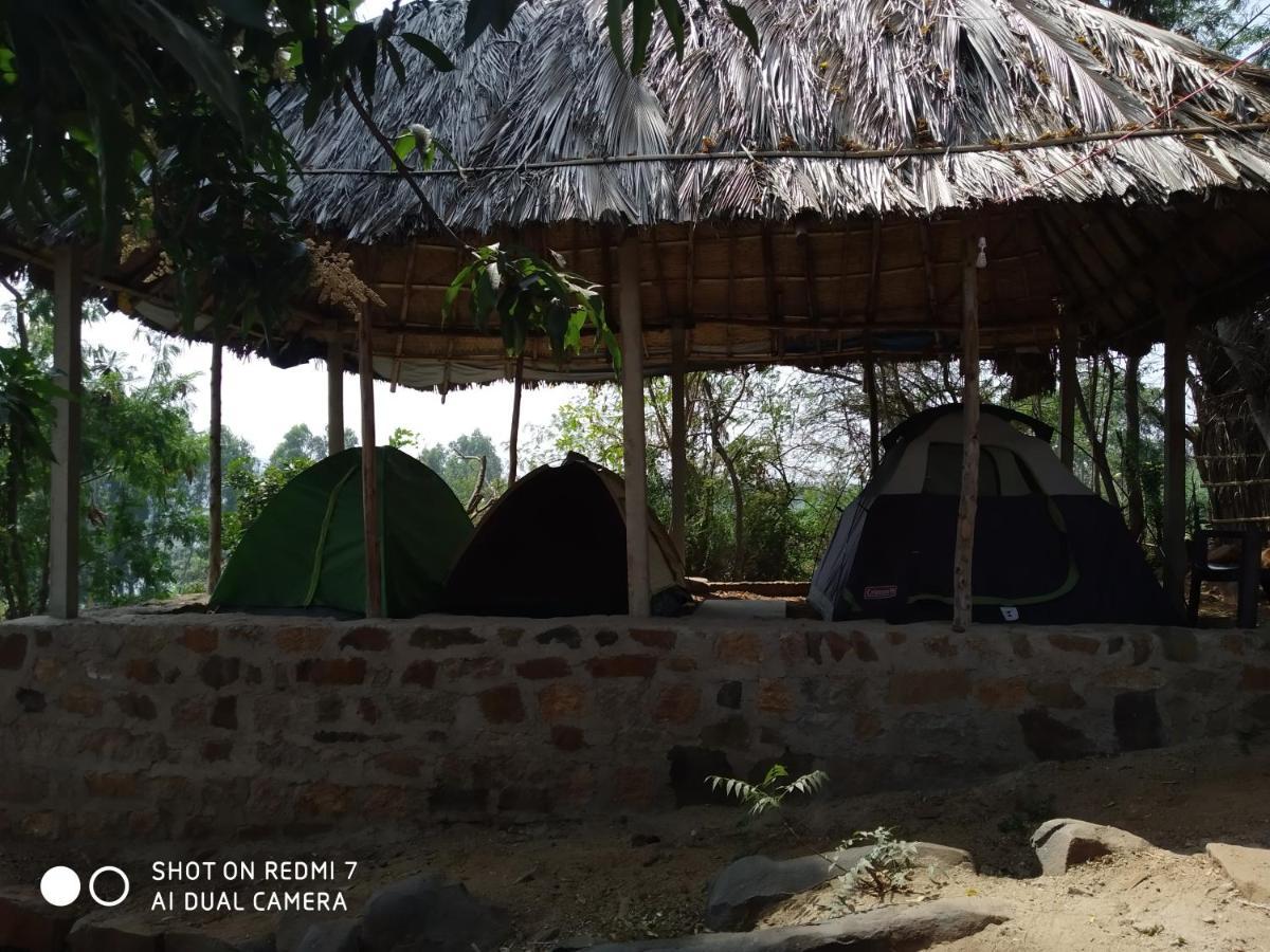Drunken Monkey Camping Site 호텔 함피 외부 사진