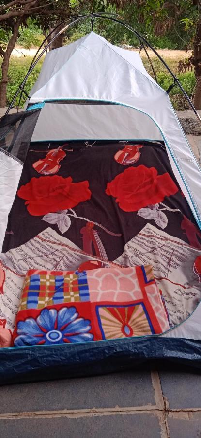 Drunken Monkey Camping Site 호텔 함피 외부 사진
